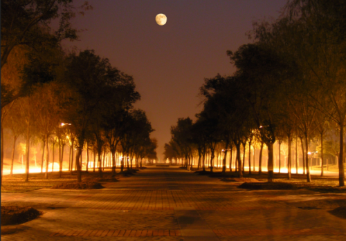 郑州大学校园夜景3