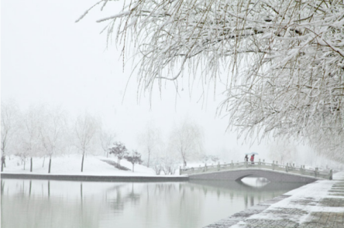 河南科技大学琴湖雪