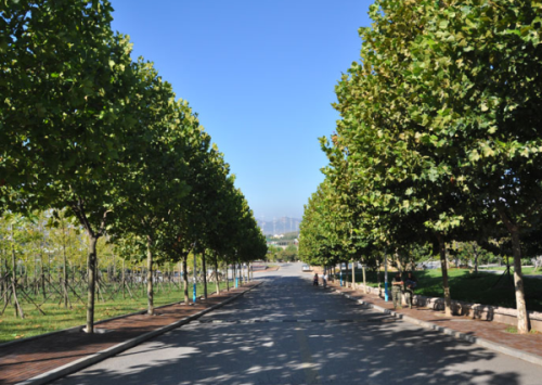 青岛黄海学院院校风采5