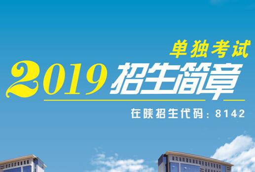 延安职业技术学院2019年单独考试招生简章