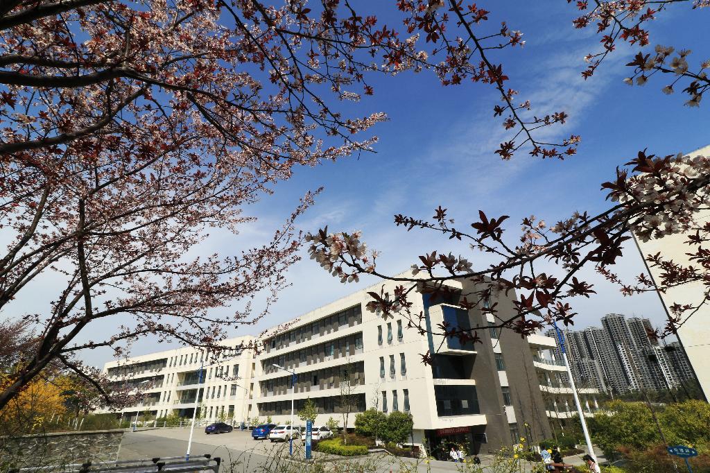 安康学院2019年职业教育单招本科招生简章